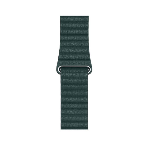 Кожаный ремешок Leather Loop для Apple Watch 38/40/41mm Forest green